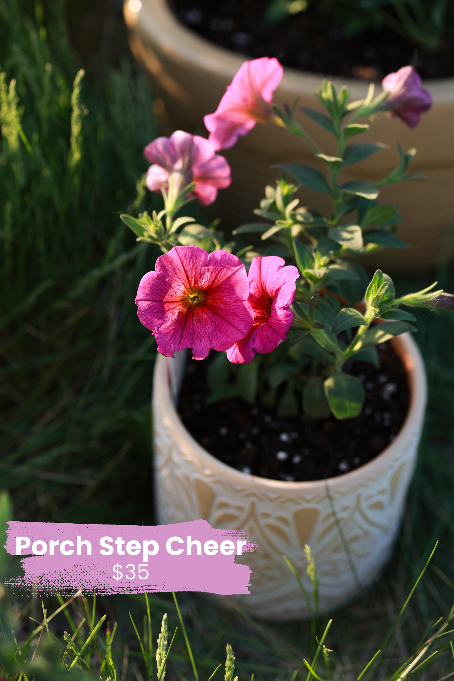 Porch Step Cheer — Mother’s Day