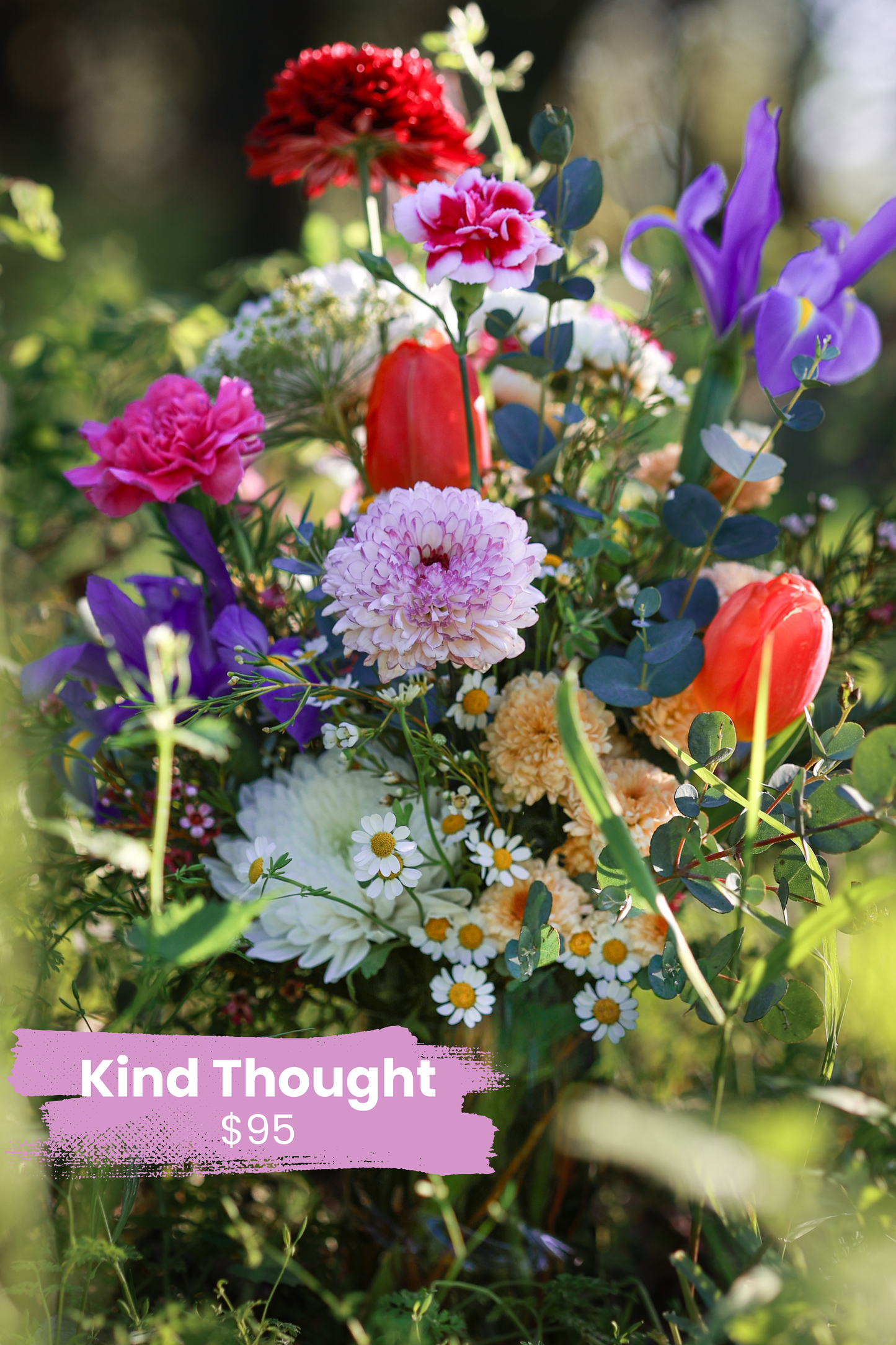 Kind Thought — Comfort & Care