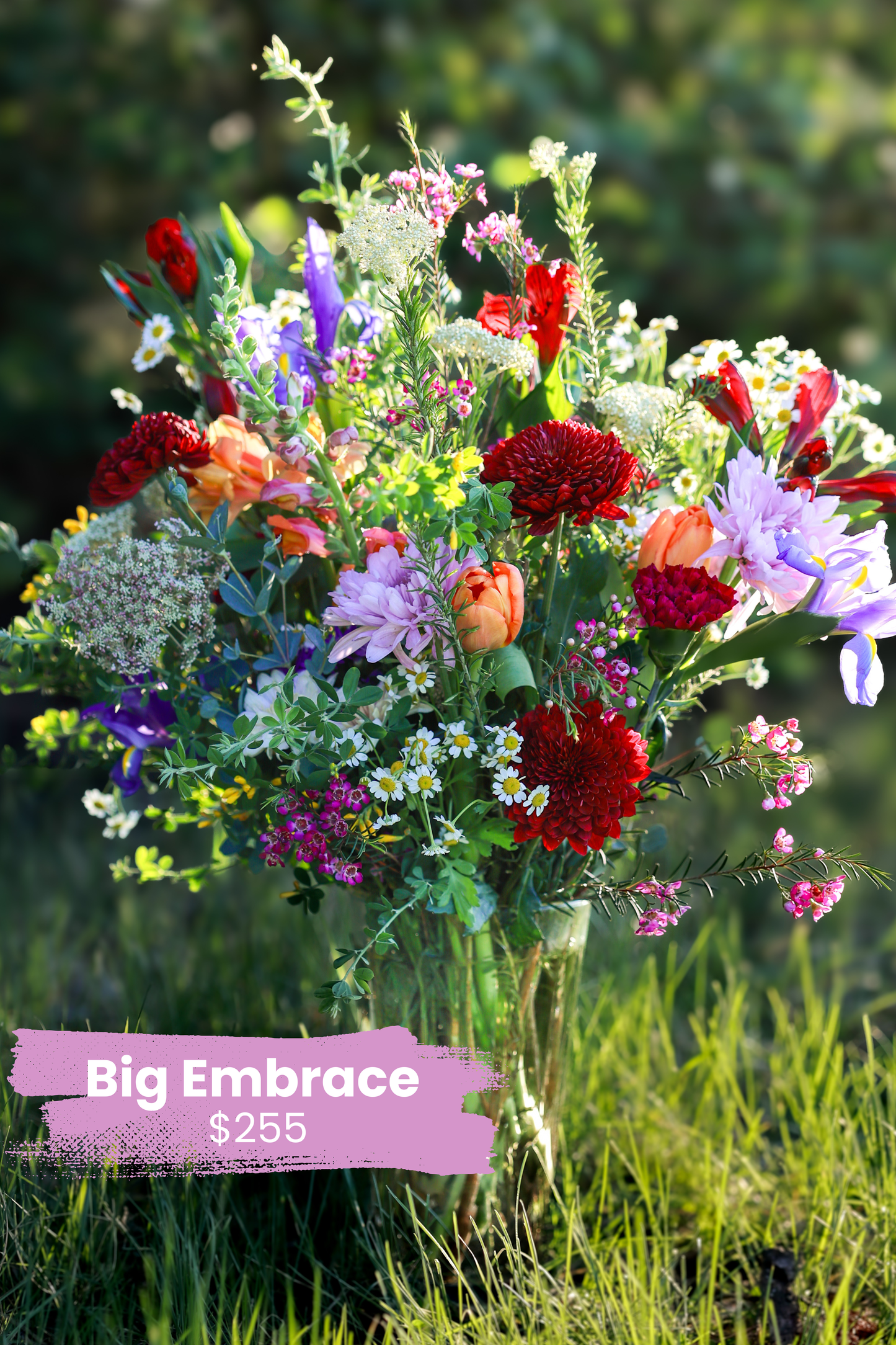 Big Embrace — Comfort & Care