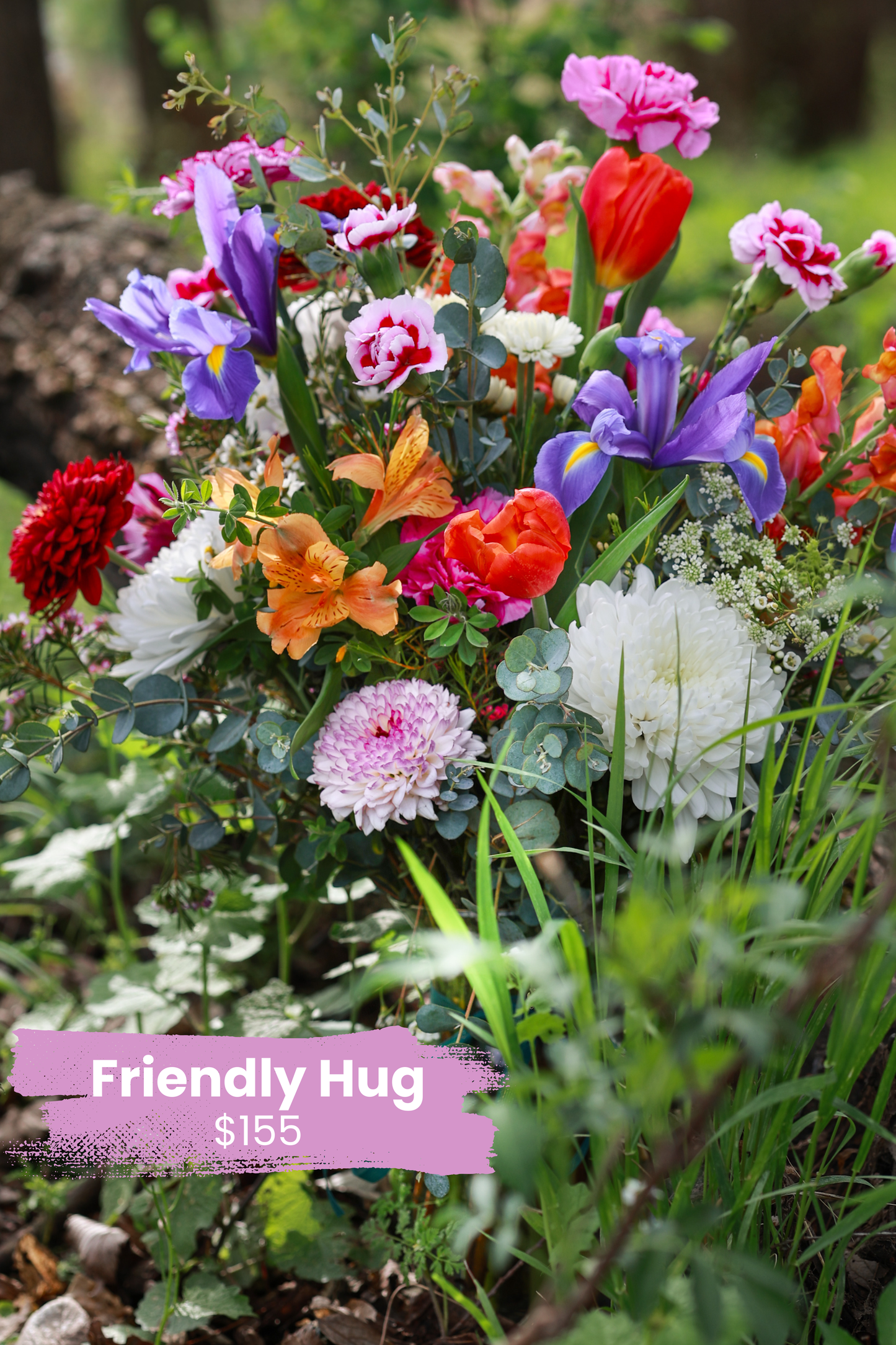 Friendly Hug — Comfort & Care