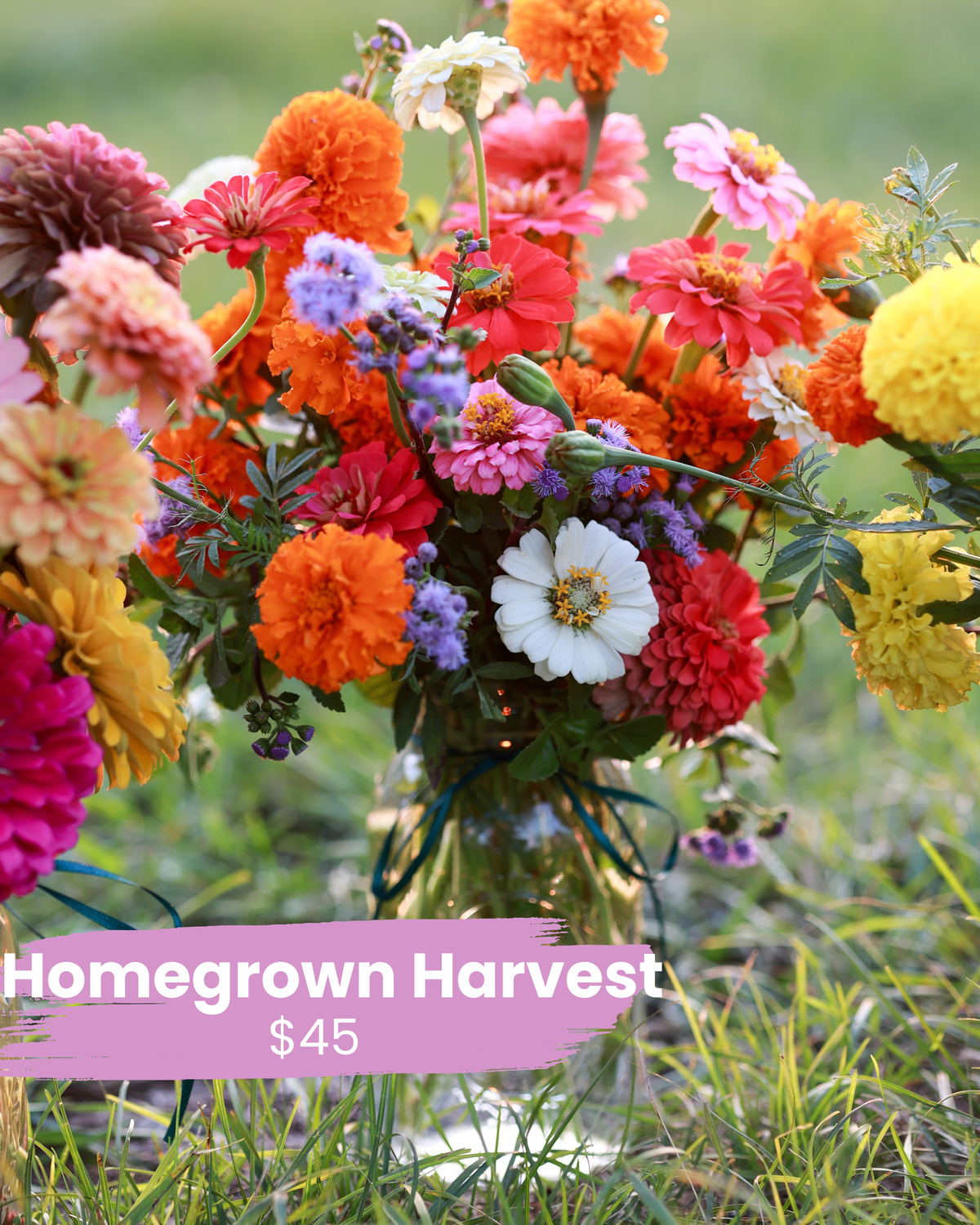 Homegrown Harvest