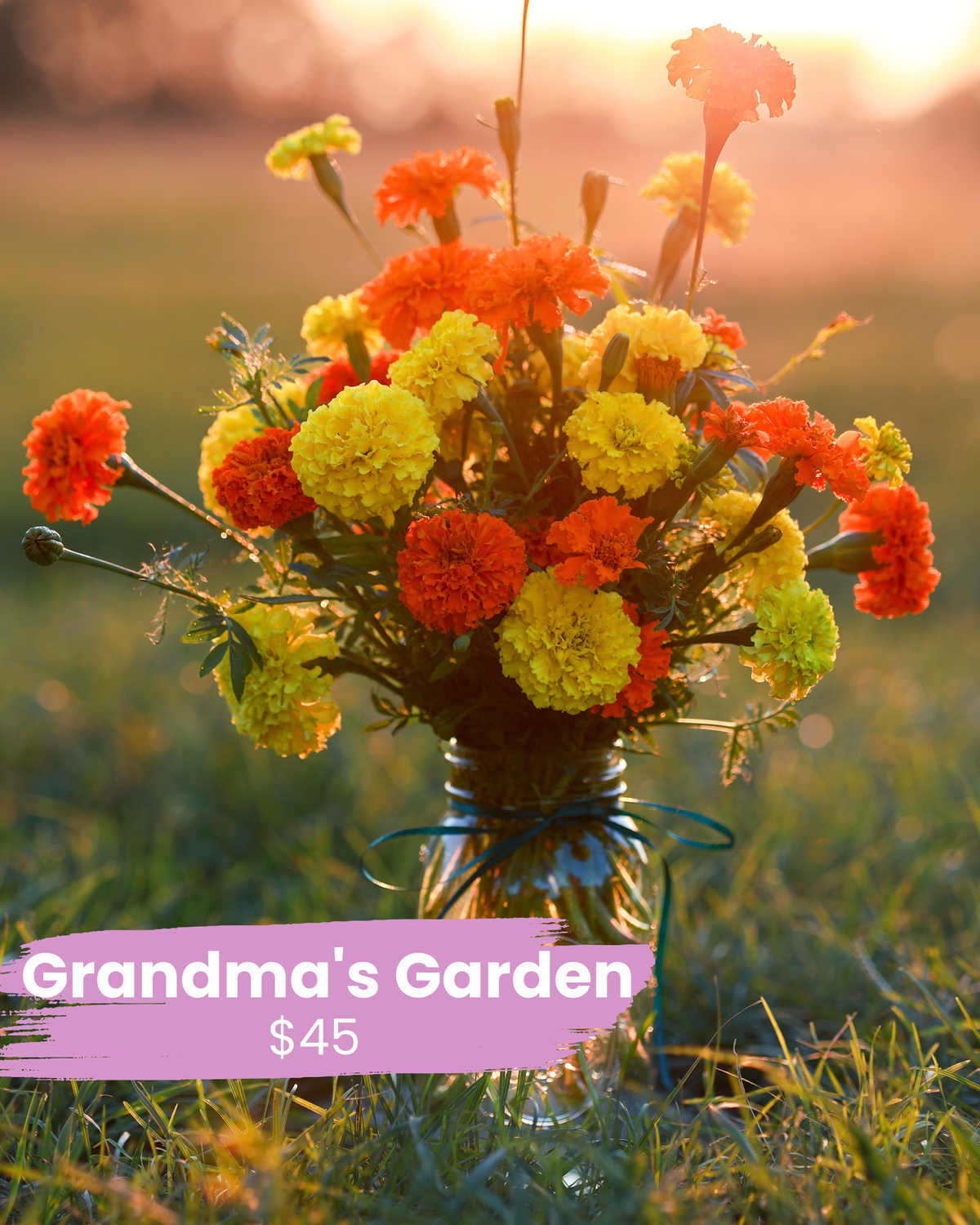 Grandma’s Garden - Comfort & Care