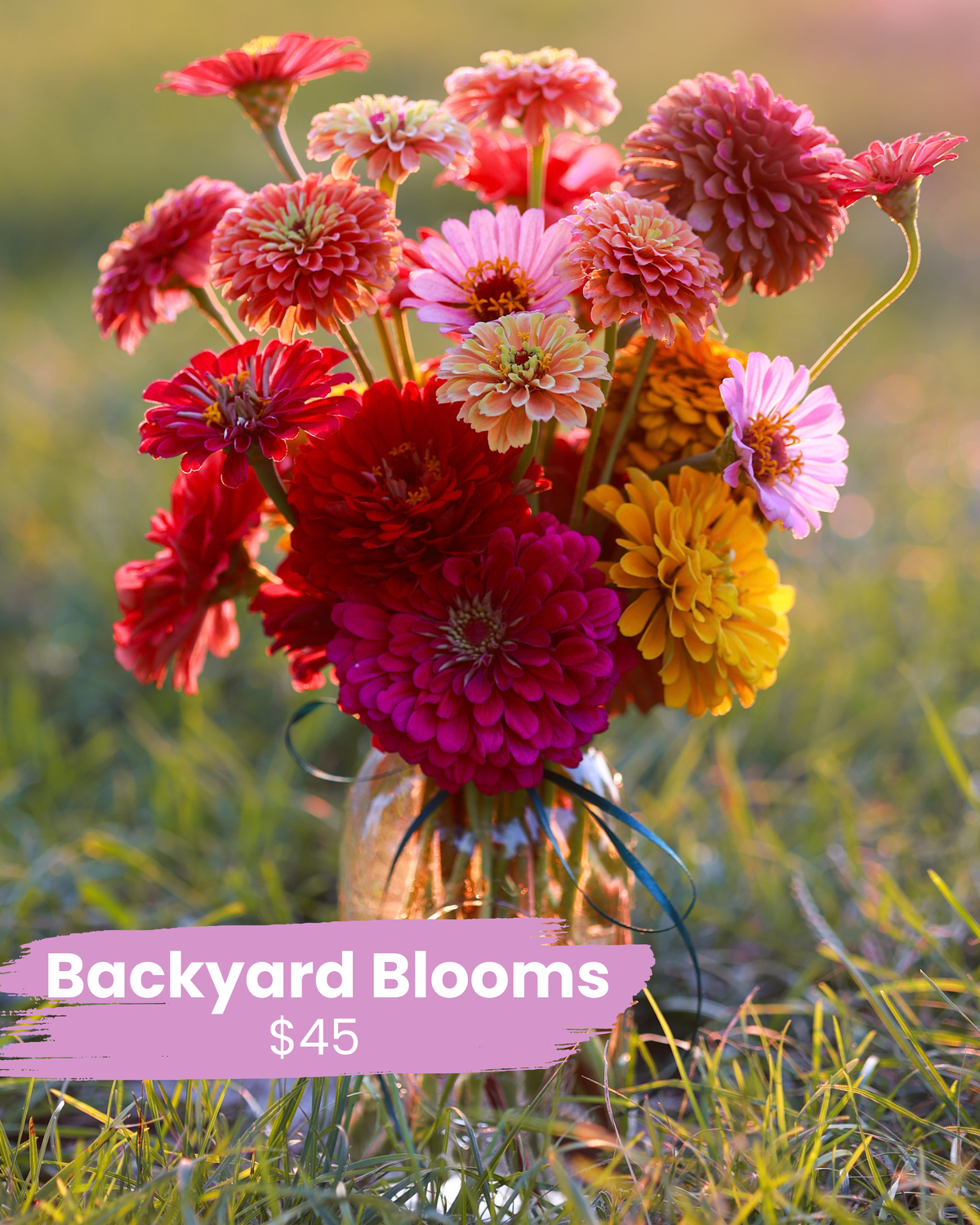 Backyard Blooms - Comfort & Care