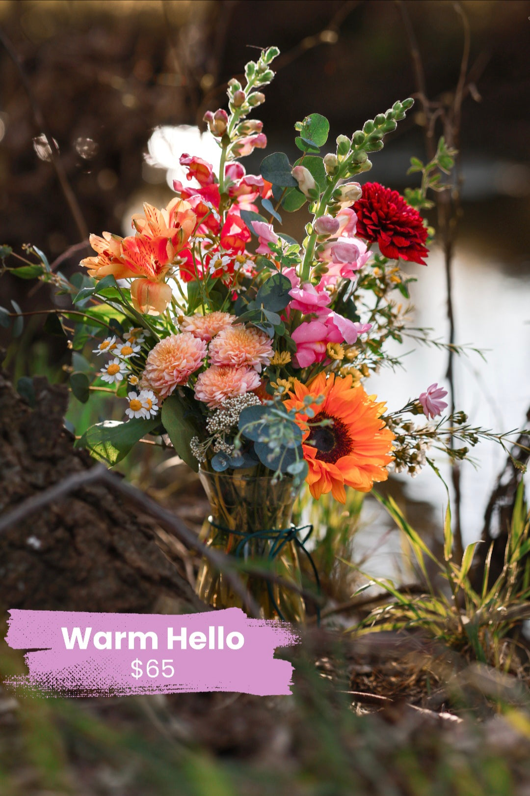 Warm Hello