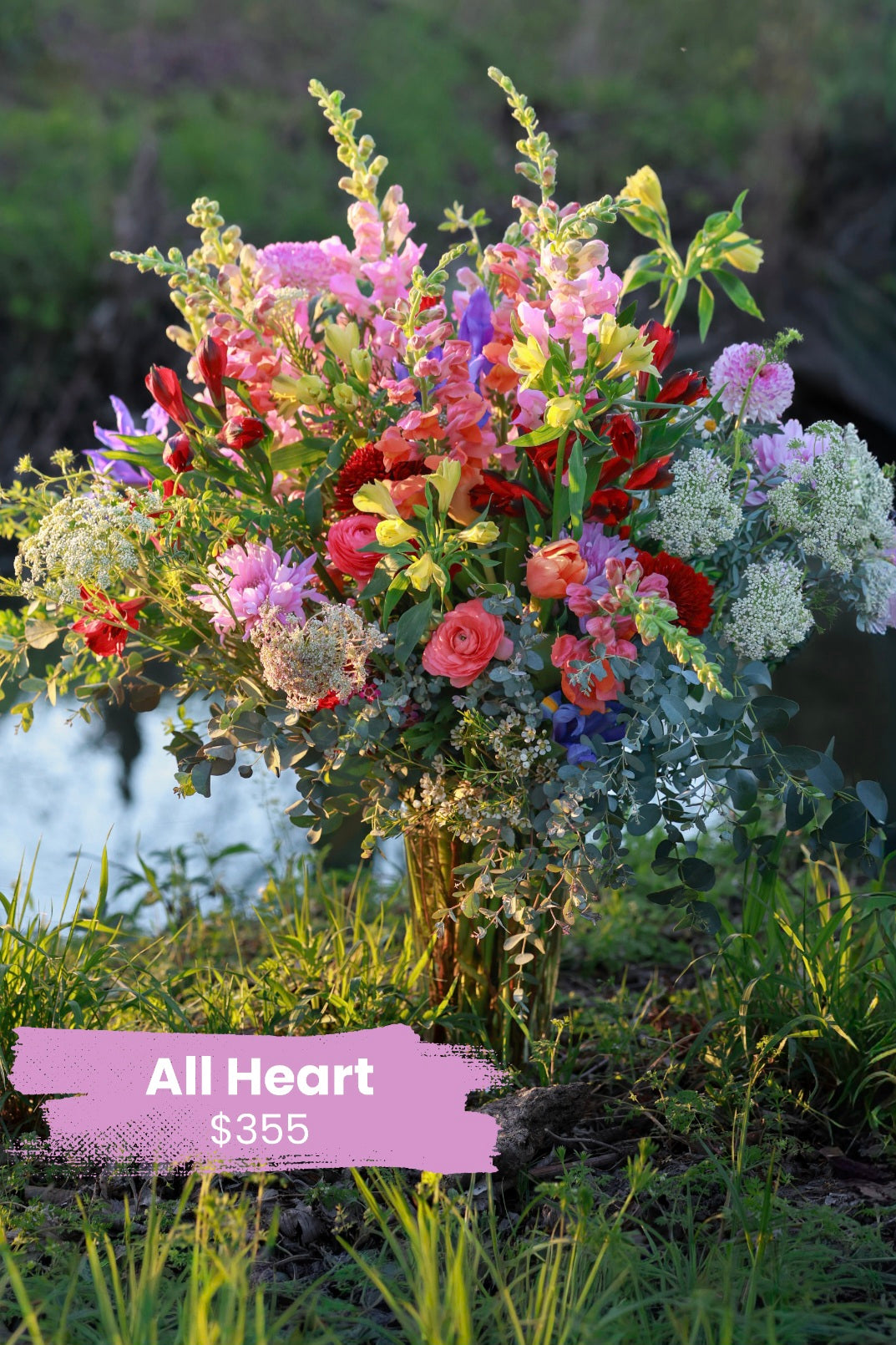 All Heart — Comfort & Care