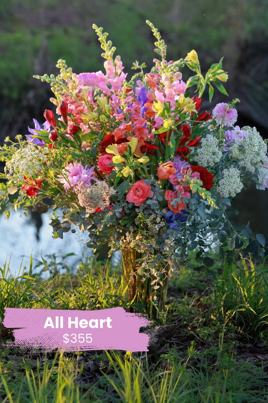 All Heart — Comfort & Care